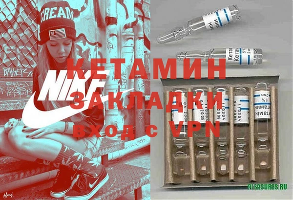 шишки Лабытнанги