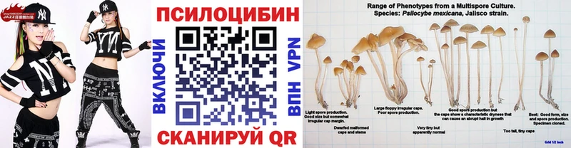 Псилоцибиновые грибы Magic Shrooms  цена   Мелеуз 