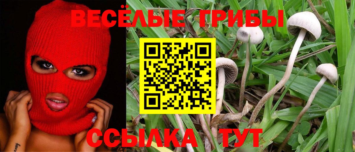 Псилоцибиновые грибы Psilocybe  Вход с VPN  купить наркотики цена  Мелеуз 